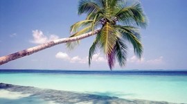 Timeline: Desarrollo turístico de méxico y antecedentes del derecho ambiental en mexio