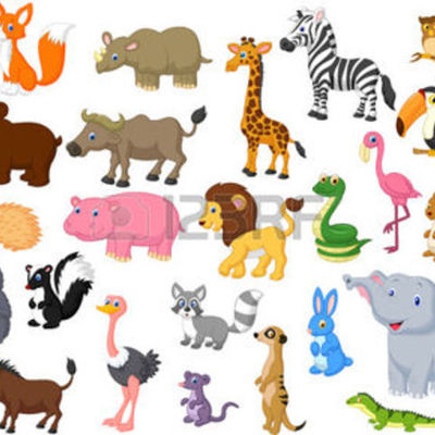 Timeline: THE ANIMALS