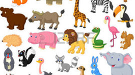 Timeline: THE ANIMALS