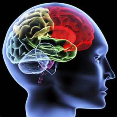 Timeline: PSICOLOGIA COGNITIVA