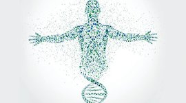 Timeline: HISTORIA DE LA GENETICA