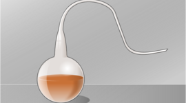 Timeline: Spontaneous Generation