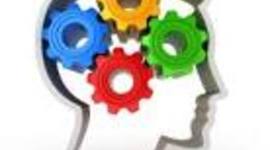 Timeline: Orígenes y desarrollo de la gestión del conocimiento