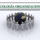 Psicologia organizacional 1 638