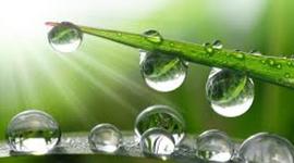 Timeline: LINEA DE TIEMPO