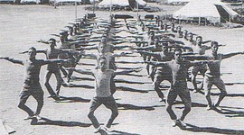 Timeline: Ejercicio Terapeutico