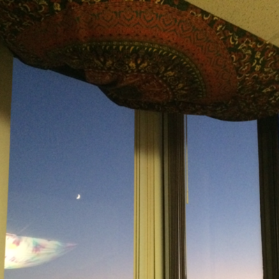 Timeline: Claudia_Giordano_PSY313