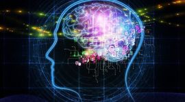 Timeline: Historia de la Biopsicología