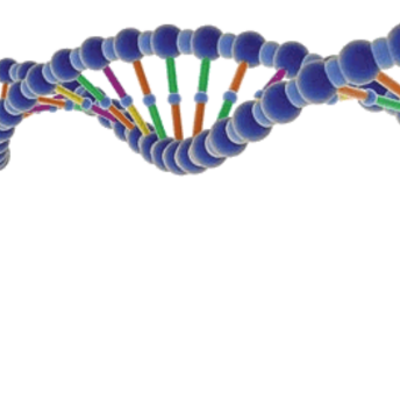 Timeline: Linea del tiempo sobre la historia de la Genética