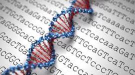 Timeline: Una Historia de Genetica