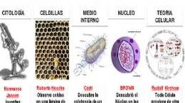 Timeline: la célula