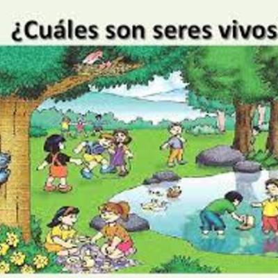 Timeline: SERES VIVOS