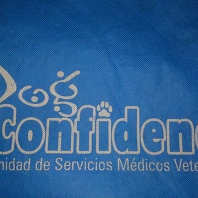 Timeline: Dog Confidence