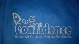 Timeline: Dog Confidence