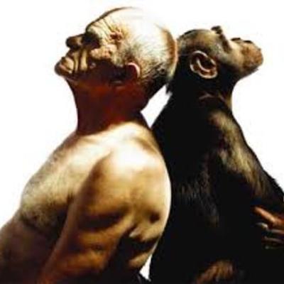 Timeline: hito de la biología con la psicología