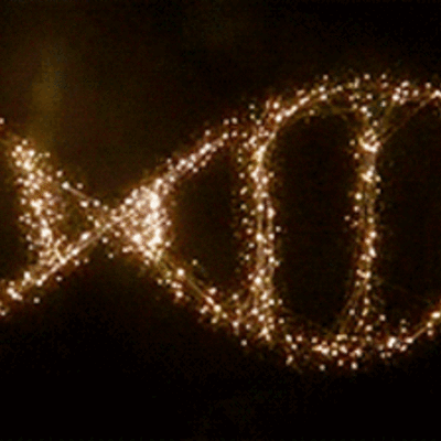 Timeline: HISTORIA DE LA GENETICA