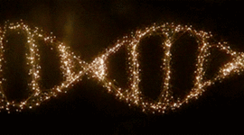 Timeline: HISTORIA DE LA GENETICA