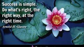 Timeline: Capstone Project