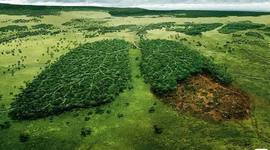 Timeline: Relación Hombre-Naturaleza