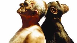 Timeline: HISTORIA PSICOBIOLOGÍA