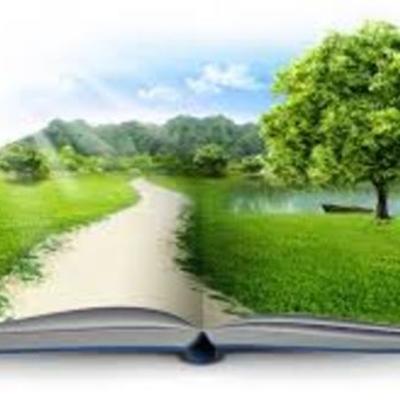 Timeline: GESTION AMBIENTA(LINEA DE TIEMPO)