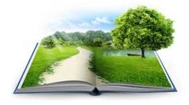 Timeline: GESTION AMBIENTA(LINEA DE TIEMPO)