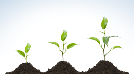 Timeline: Alachua's Jewish Growth