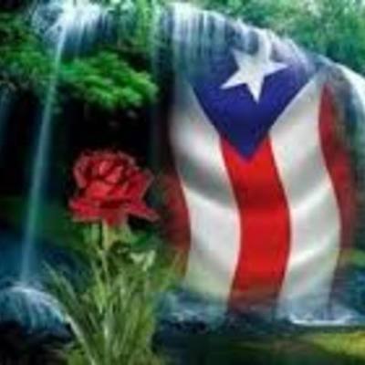 Timeline: Desarrollo de los Métodos Alternos en P.R.