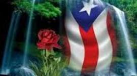 Timeline: Desarrollo de los Métodos Alternos en P.R.