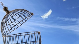 Timeline: HECHOS IMPORTANTES DEL SIGLO XX