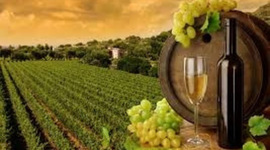 Timeline: HISTORIA DEL VINO  JULIEN ASTRID RUGERIO FLORES UVM