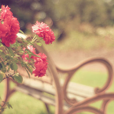 Timeline: Eventos historicos "Protección de datos personales"