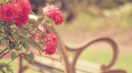 Timeline: Eventos historicos "Protección de datos personales"