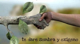 Timeline: Relación Hombre Naturaleza