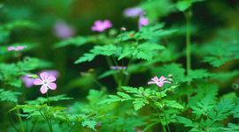 Timeline: arte y cultura