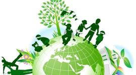 Timeline: Legislación Ambiental