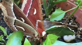 Timeline: Mi historia