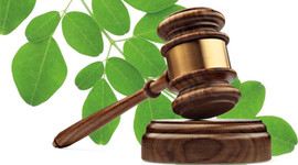 Timeline: Legislación Ambiental - Universidad del Caribe - Braulio Medina Santoyo