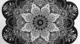 Timeline: linea del tiempo