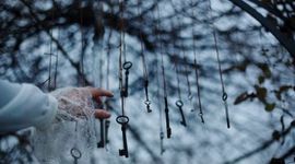 Timeline: Evolucion del Estado