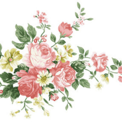 Timeline: Historia de mi vida.