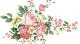 Timeline: Historia de mi vida.