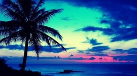 Timeline: mi bella vida