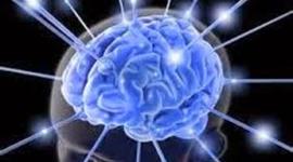 Timeline: Análisis Cronologíco