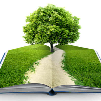 Timeline: Evolución Histórica de la Educación Ambiental