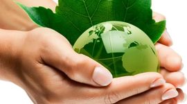 Timeline: PROTOCOLOS DEL MEDIO AMBIENTE