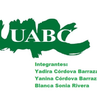 Timeline: Meta 1.3 Linea del tiempo