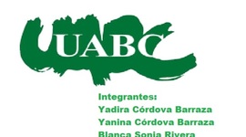 Timeline: Meta 1.3 Linea del tiempo