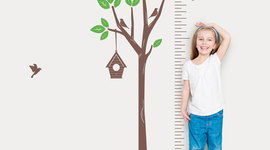 Timeline: Julie's Jewish Growth Timeline