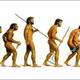 Internet evolution